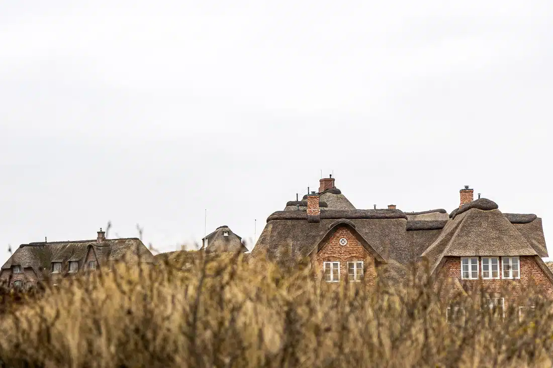 250327_Sylt - Rantum-_MG_3996_