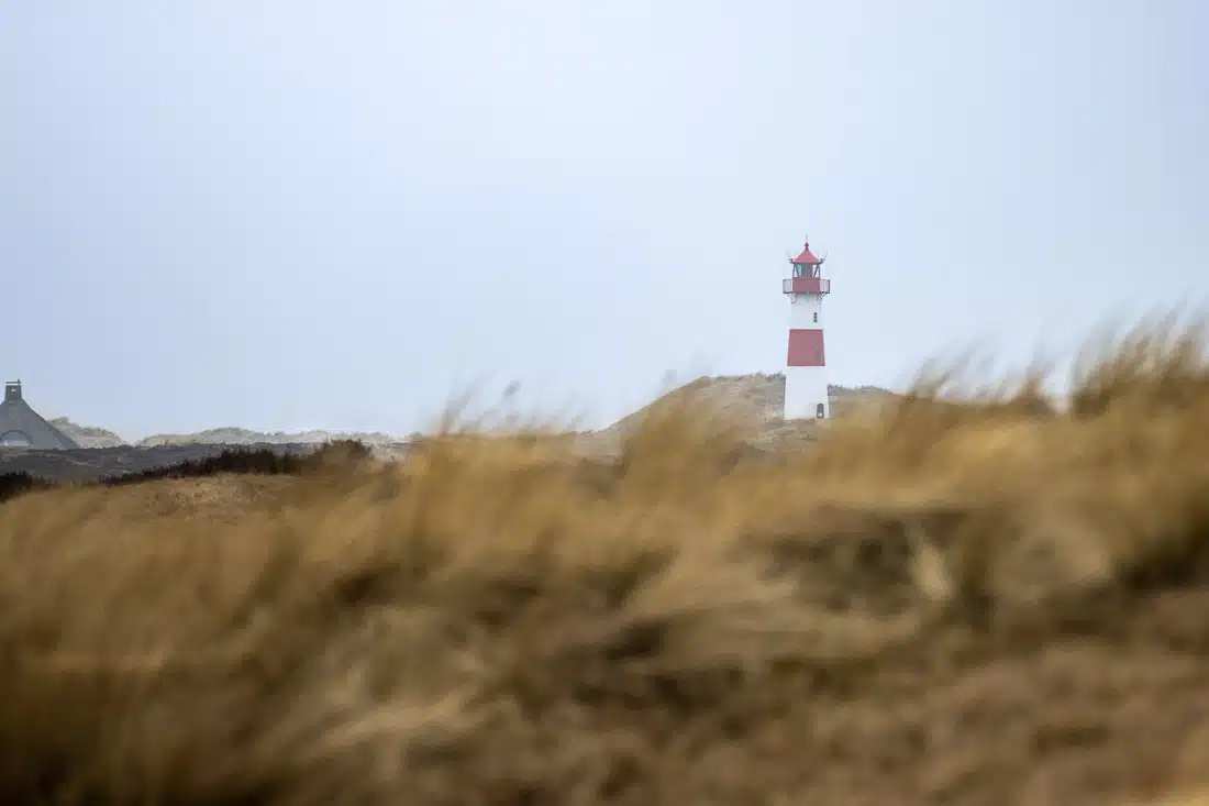 250328_Sylt - Ellenbogen-_MG_4247_