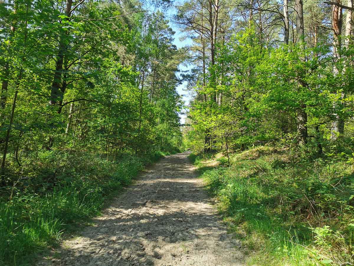 Durch Wälder und über Sandwege