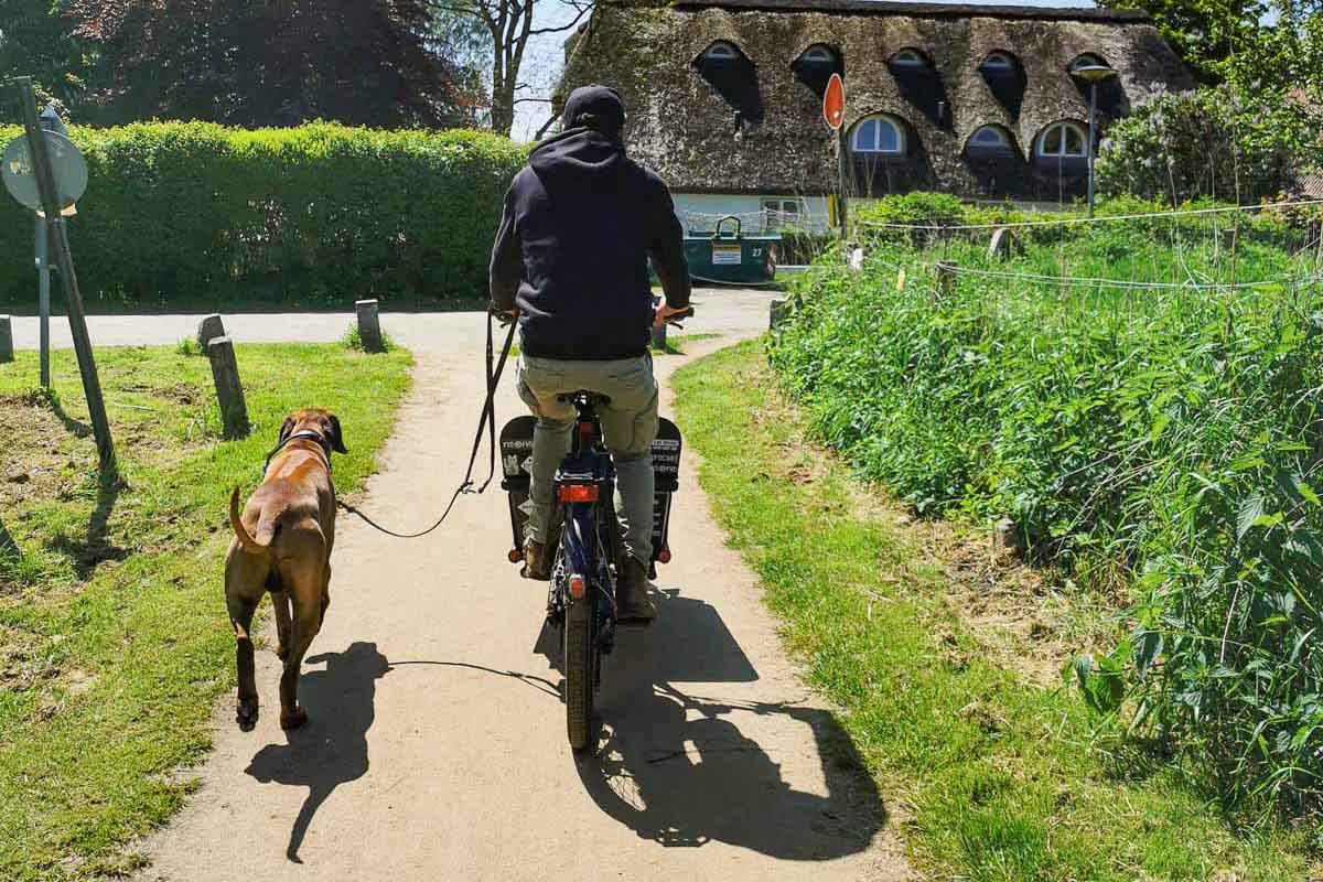 Fahrrdtouren mit Hund-AhoiMaike