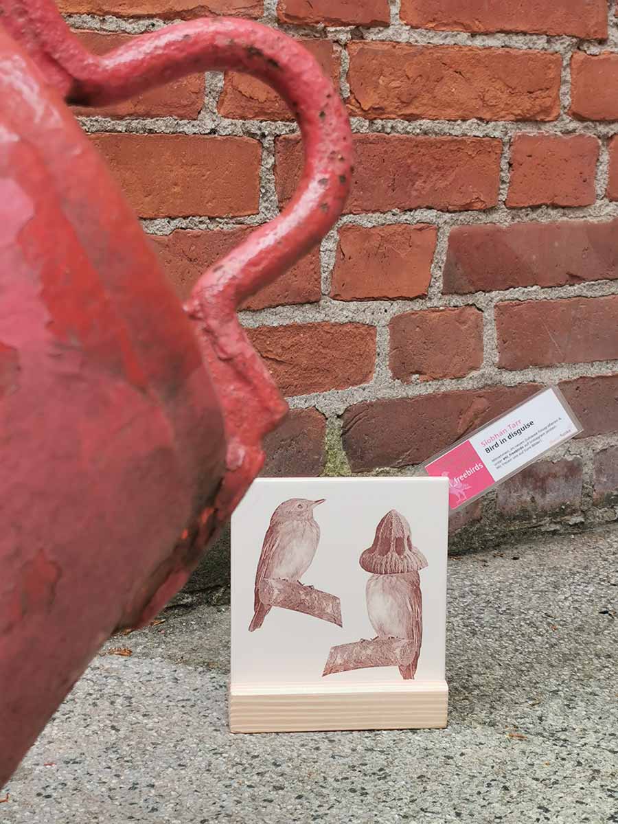 Kulturfunke-Lübeck-IMG_20210515_104923 Bird flying off - Diana Weinland