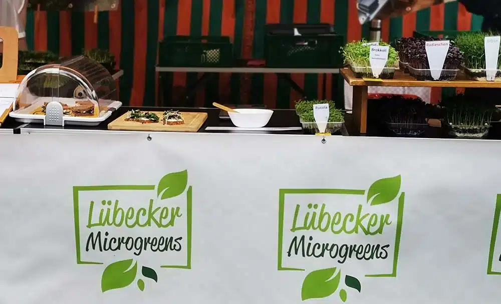 Marktstand von Microgreens mit einigen Grünkräutern und einem Probierbrett<br /></noscript>
